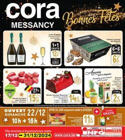 Folder Cora 17.12.2024 - 31.12.2024