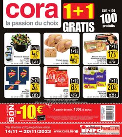 Folder Cora 01.01.2023 - 20.11.2023