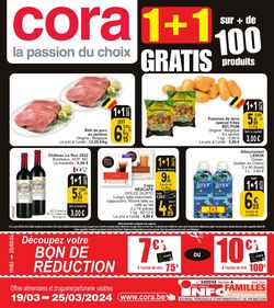 Folder Cora 01.01.2024 - 25.03.2024