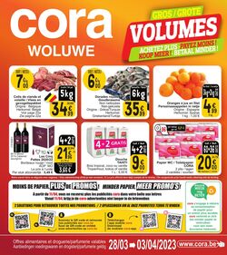 Folder Cora 28.03.2023 - 03.04.2023