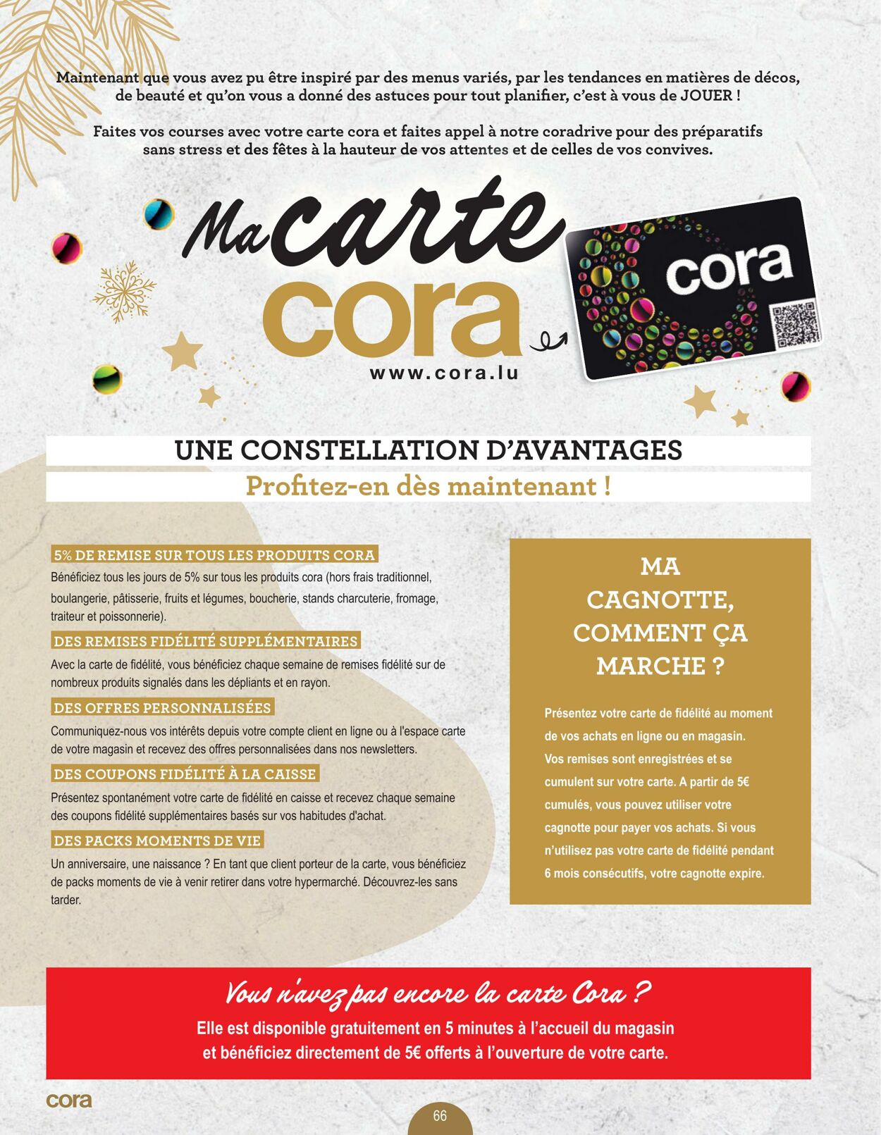 Folder Cora 24.11.2022 - 31.12.2022