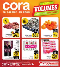 Folder Cora 28.03.2023 - 03.04.2023