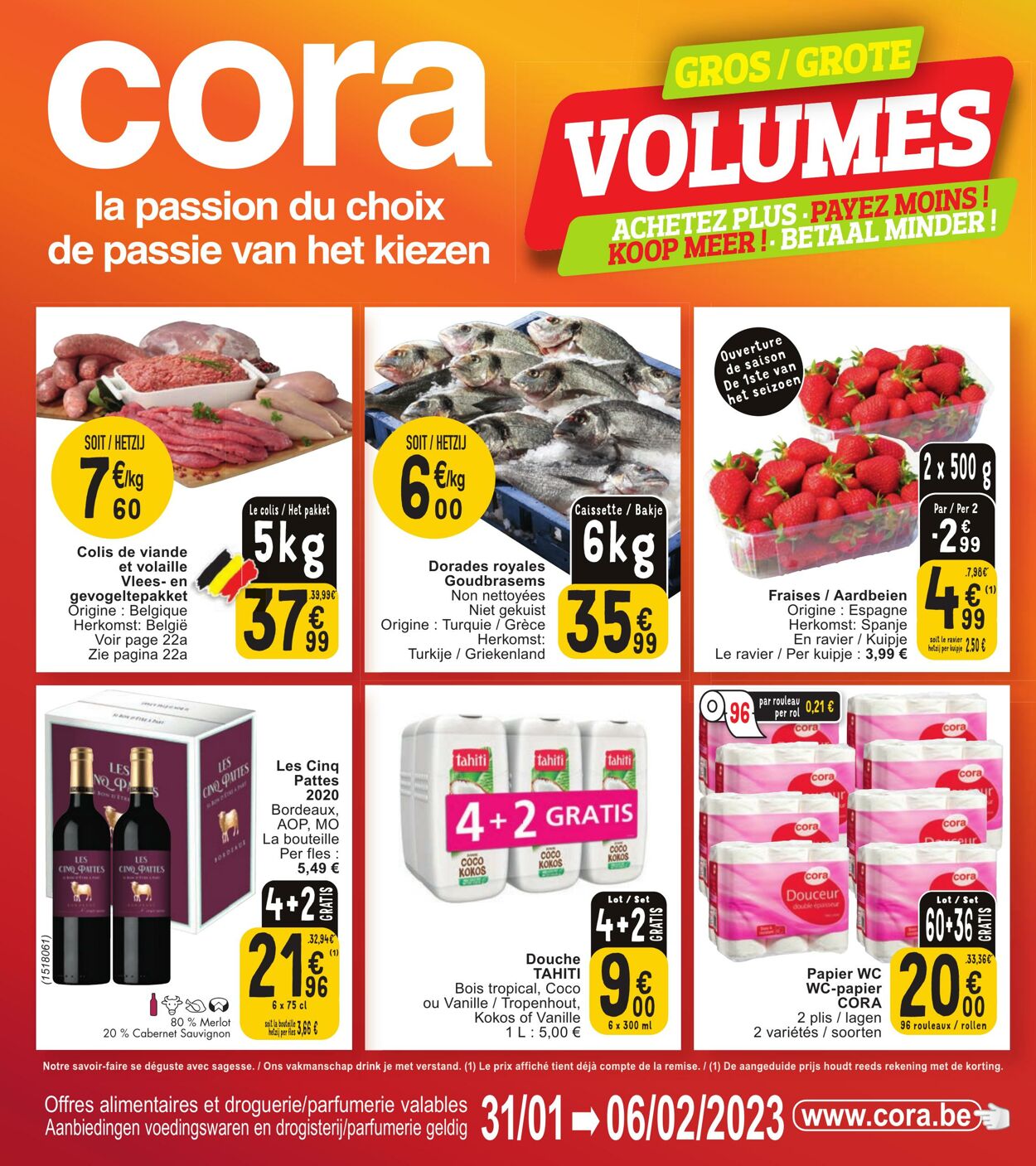 Folder Cora 31.01.2023 - 06.02.2023