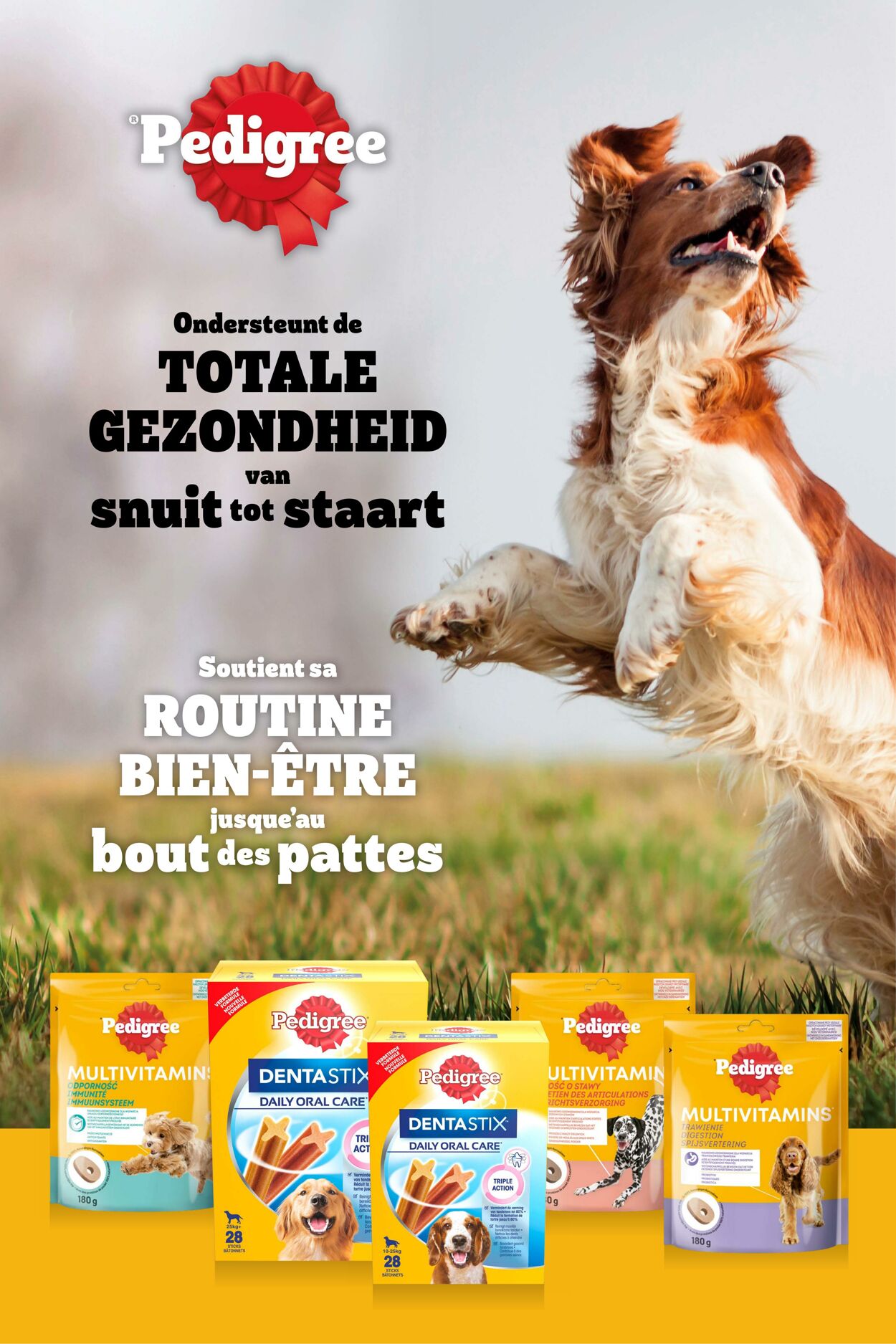 Folder Cora 16.01.2024 - 22.01.2024