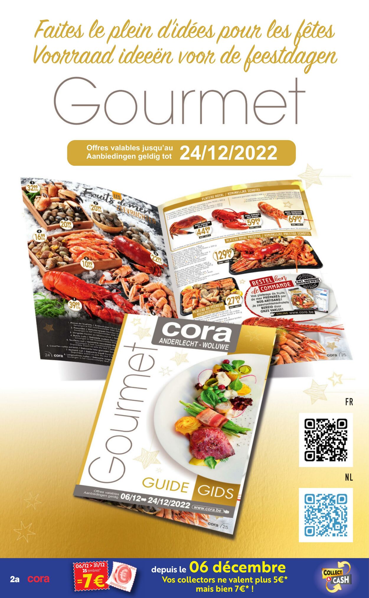 Folder Cora 20.12.2022 - 31.12.2022