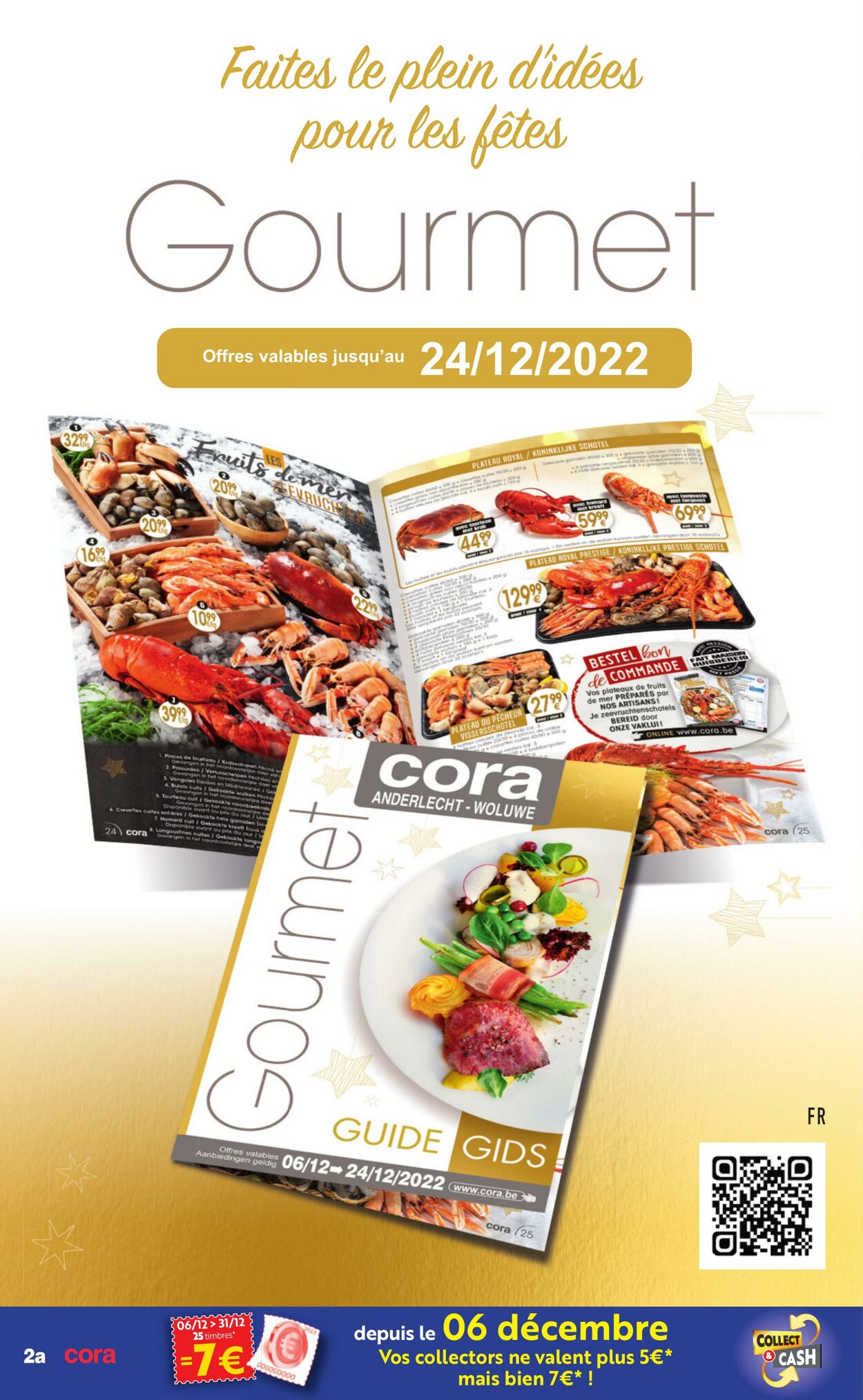 Folder Cora 20.12.2022 - 31.12.2022