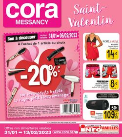 Folder Cora 31.01.2023 - 13.02.2023