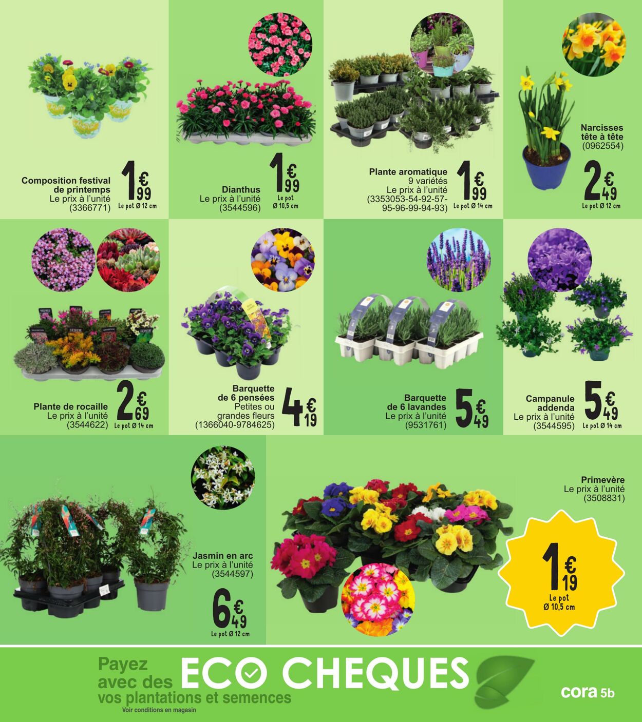 Folder Cora 05.03.2024 - 18.03.2024