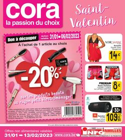 Folder Cora 31.01.2023 - 13.02.2023