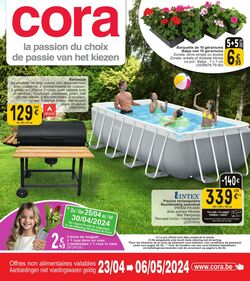 Folder Cora 23.04.2024 - 06.05.2024