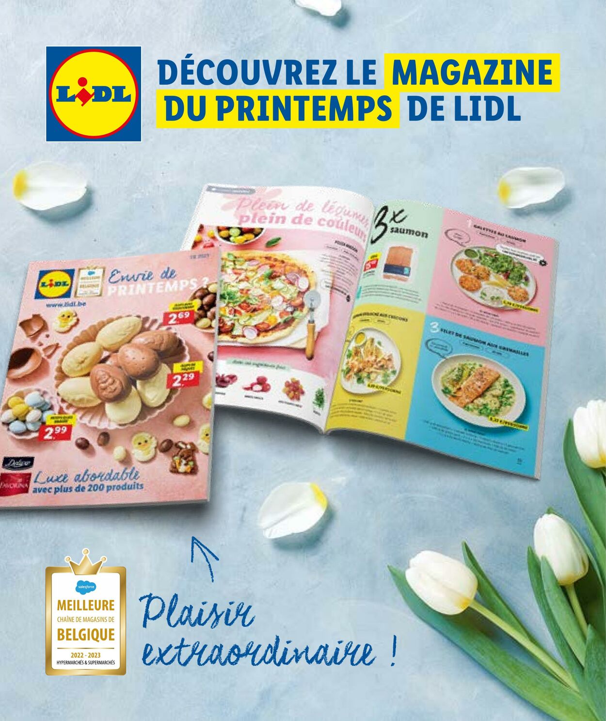 Folder Lidl 29.03.2023 - 04.04.2023