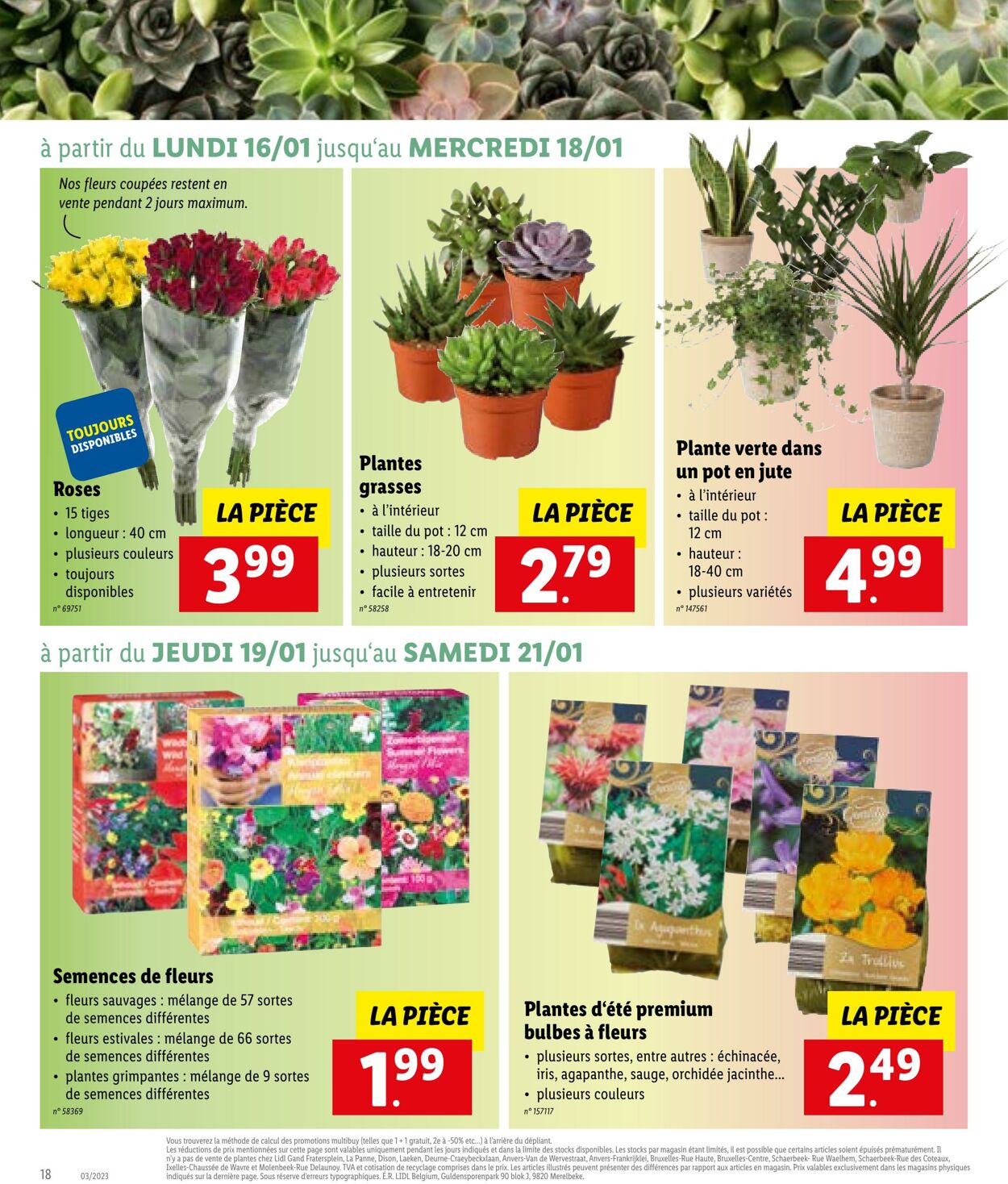 Folder Lidl 16.01.2023 - 21.01.2023