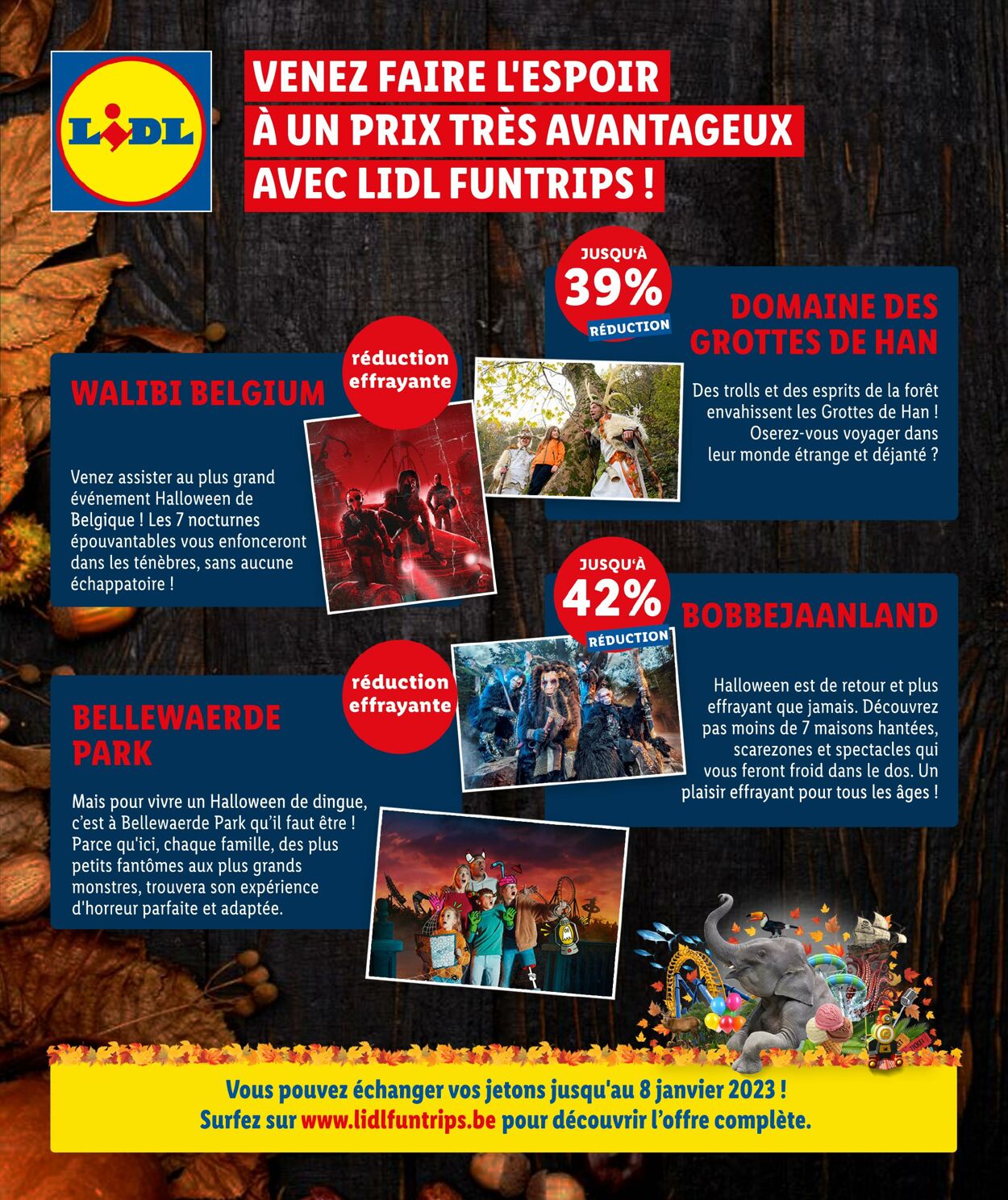 Folder Lidl 24.10.2022 - 29.10.2022