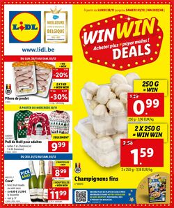 Folder Lidl 28.11.2022 - 03.12.2022