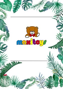 Folder Maxi Toys 17.06.2023 - 07.07.2023